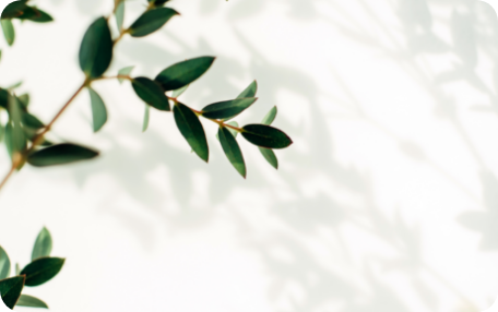 デリケートゾーンのニオイまでスッキリ