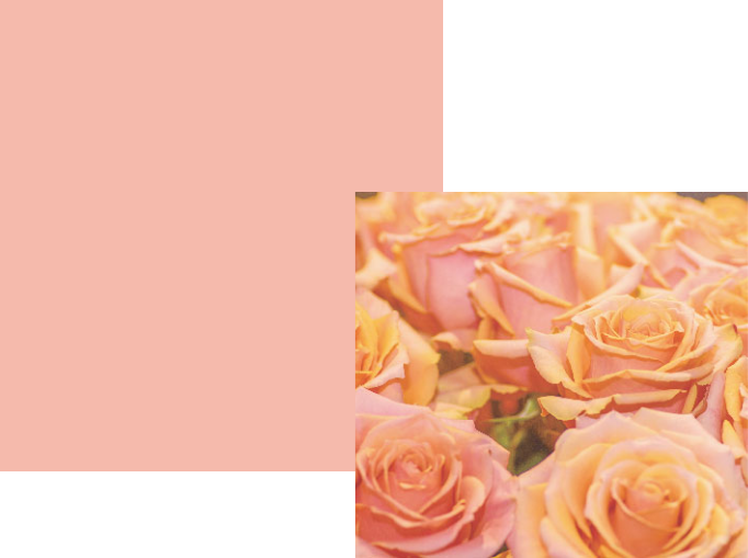 美容液ソープCO